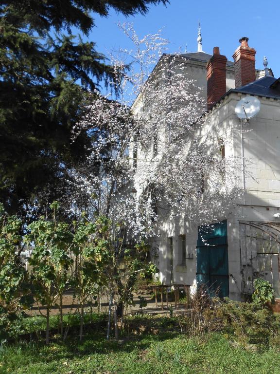 Clos Du Bois Brard B&B Saumur Luaran gambar